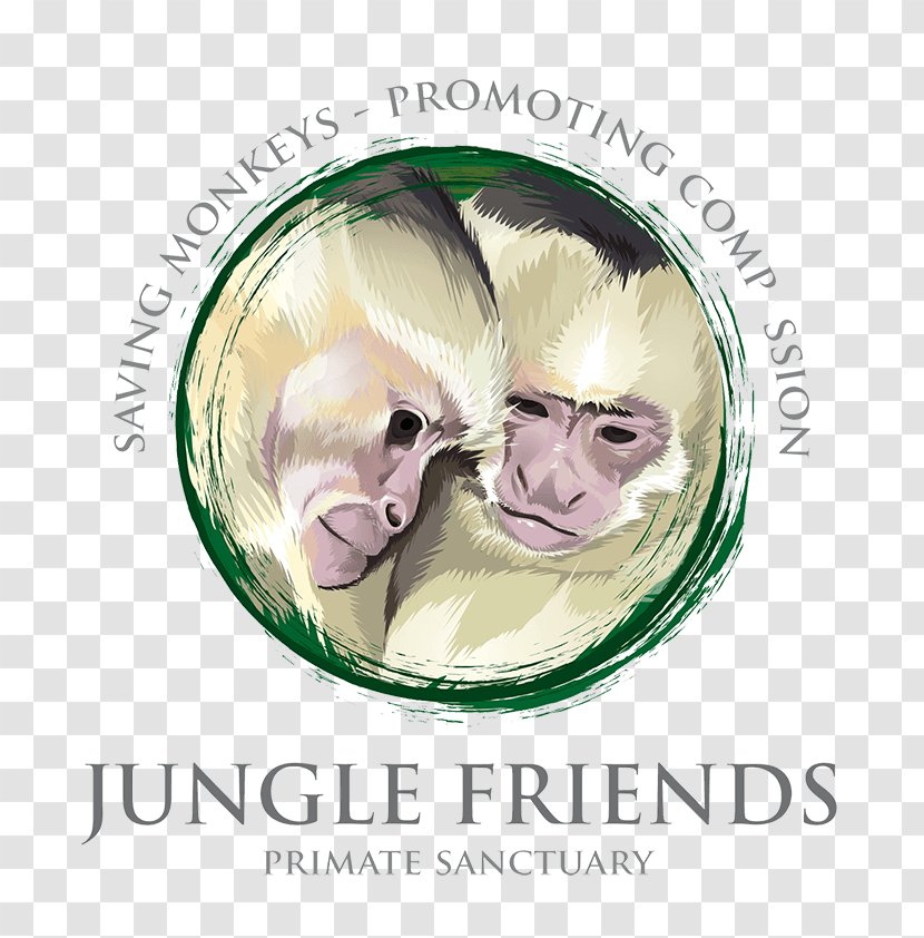 Capuchin Monkey Jungle Friends Primate Sn Center White-headed Ape - Marmoset Transparent PNG