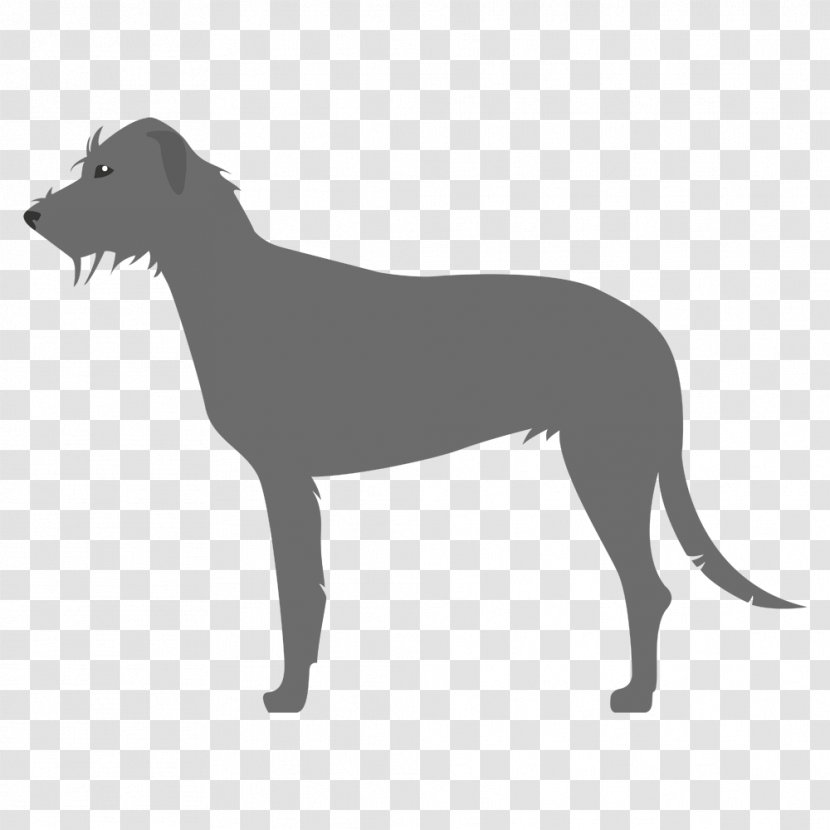 Italian Greyhound Sloughi Spanish Whippet - Irish Wolfhound - Amstaff Transparent PNG