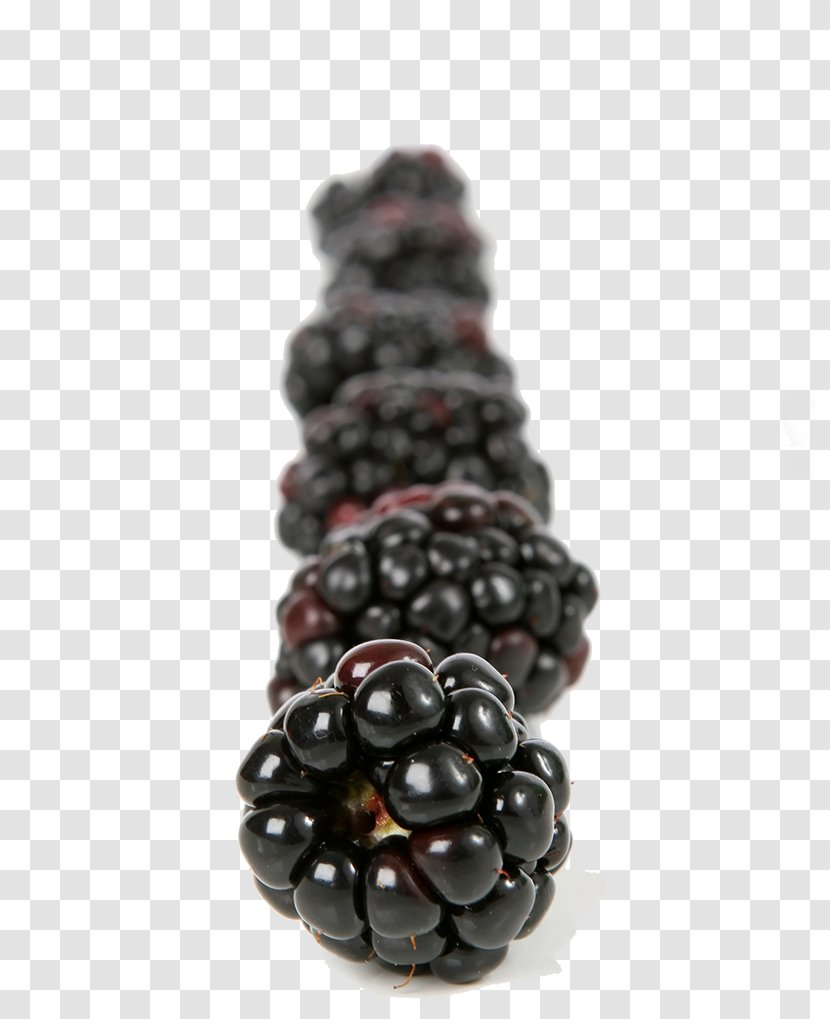 Frutti Di Bosco Blackberry Fruit Food - Jewellery - A Neat Row Of Transparent PNG