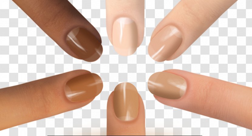 Nail Polish Paint Manicure Color - Silhouette Transparent PNG