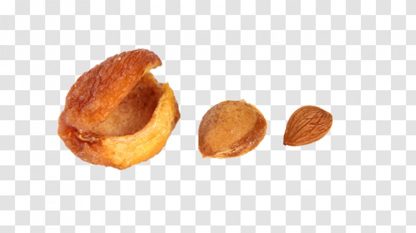 Vetkoek Nut Flavor - Food - Apricot Effect Element Transparent PNG