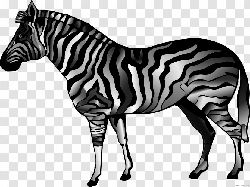 Quagga American Quarter Horse Clip Art Stallion Pony - Zebroid - Mustang Transparent PNG