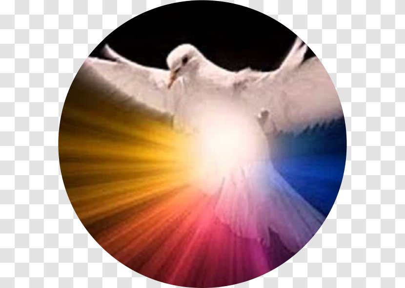 Holy Spirit In Christianity Doves As Symbols God The Father Transparent PNG