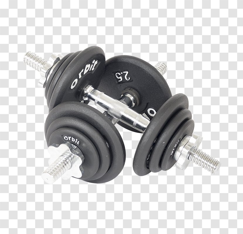 Bench Weight Training Fitness Centre Power Rack Physical - Frame - Dumbbells Weights Transparent PNG
