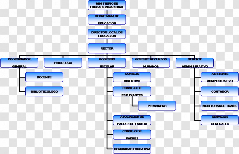 Organizational Chart Fitness Centre Diagram School - Text - Caracter Transparent PNG