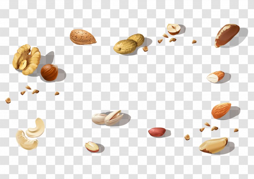 Tree Nut Allergy Vegetarian Cuisine Food Commodity - Roasted Acorn Nuts Transparent PNG