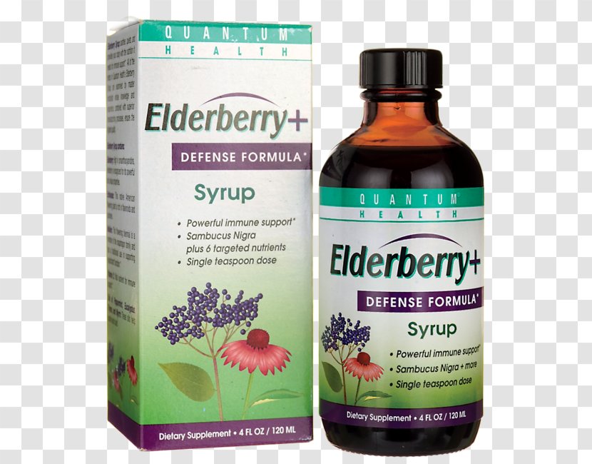 Elder Syrup Cough Medicine Herb - Plant - Elderberries Transparent PNG