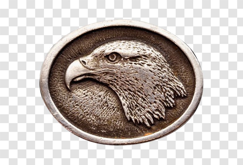 Eagle Silver Fauna Beak Transparent PNG