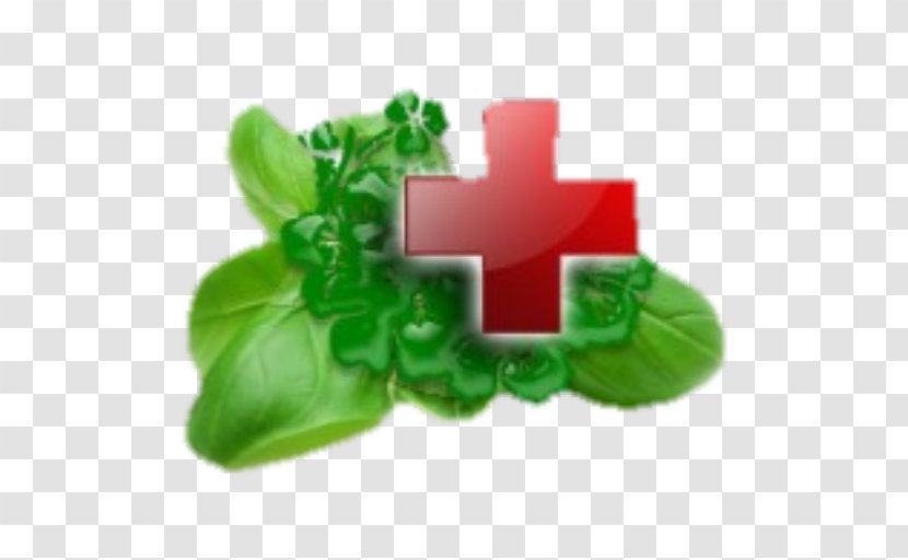 Therapy Herb Medicinal Plants Disease Pharmaceutical Drug - Cure - Tincture Transparent PNG