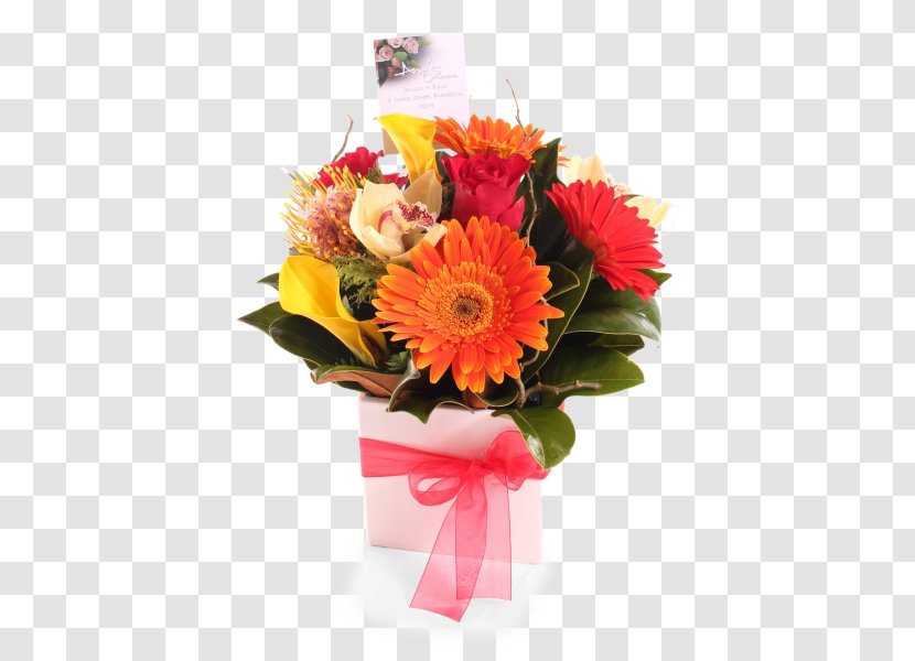 Transvaal Daisy Floral Design Cut Flowers Flower Bouquet - Floristry - Bright Transparent PNG