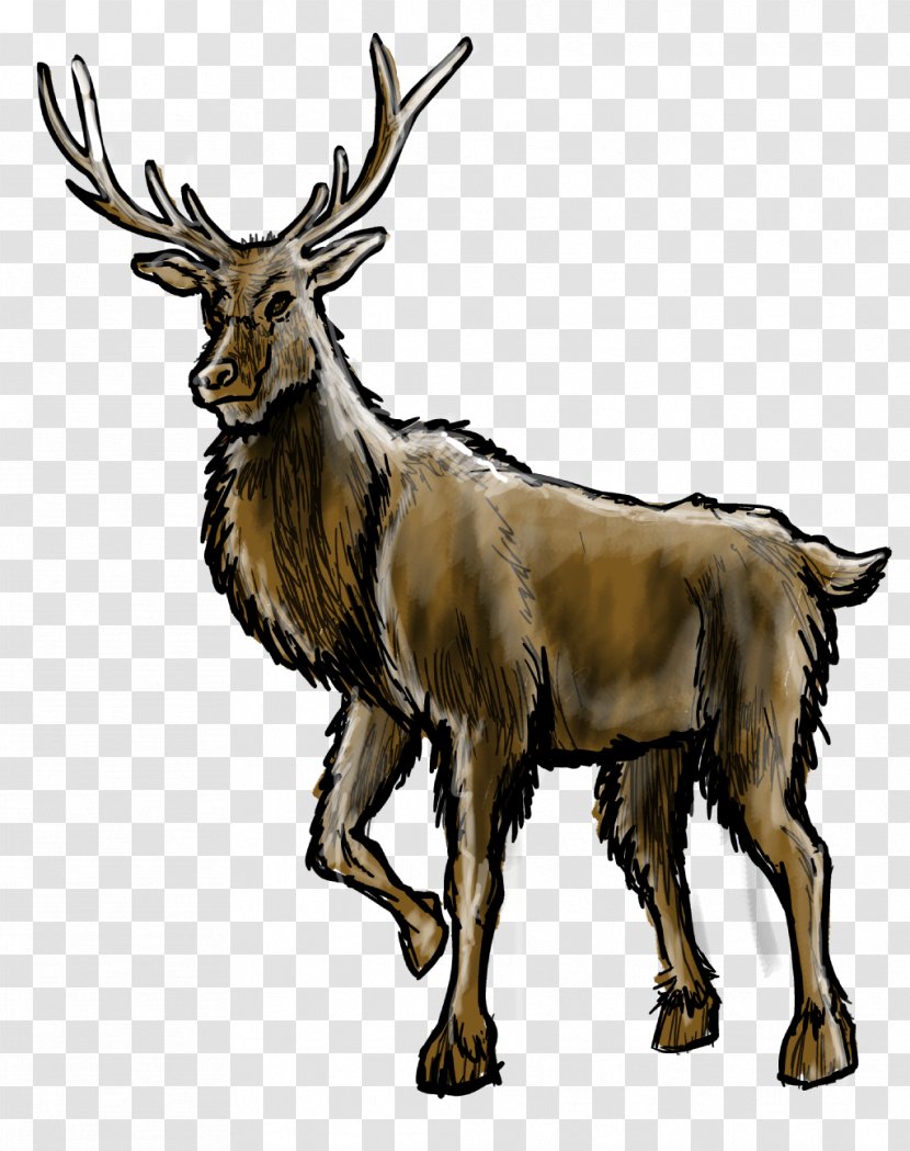 Reindeer Elk Antelope Goat Cattle - Antler Transparent PNG