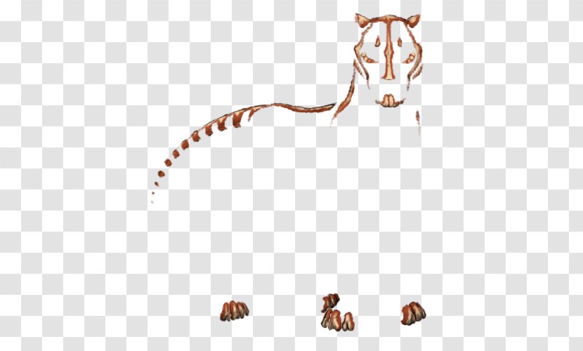 Cat Mammal Whiskers Carnivora Dog - Cartoon - Painted Lion Transparent PNG