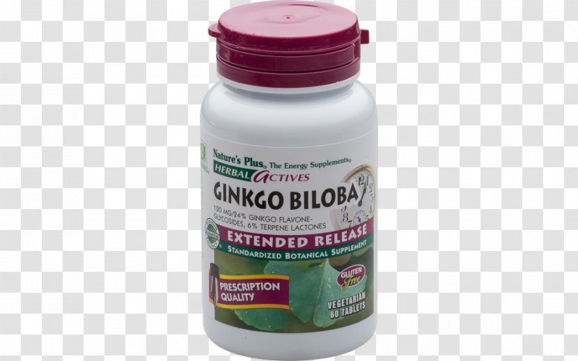 Dietary Supplement Nutrient Vitamin Sales - Product Lining - Ginkgo-biloba Transparent PNG