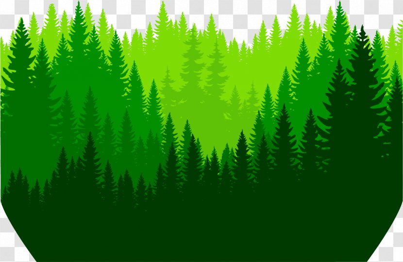 Euclidean Vector Icon - Shutterstock - Painted Deep Forest Transparent PNG