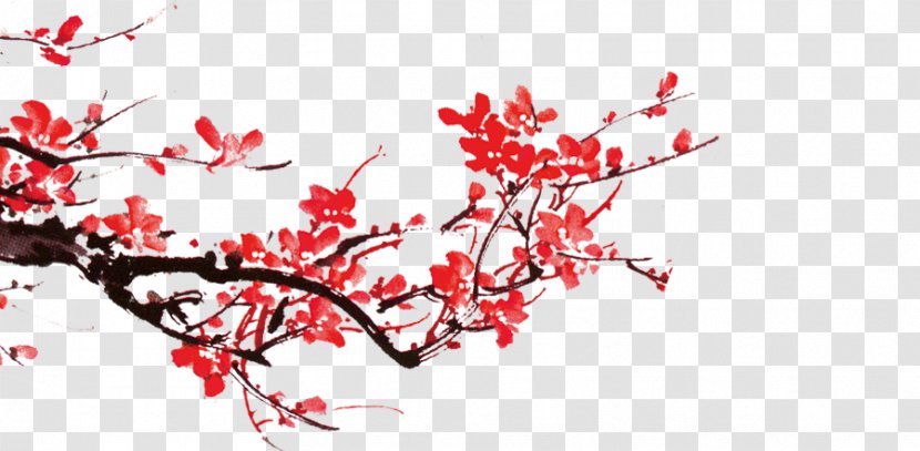 China Petal Plum - Plant - Flower Transparent PNG