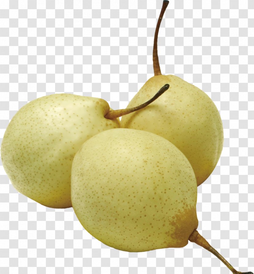 Asian Pear Pyrus Nivalis European Fruit - Gratis Transparent PNG