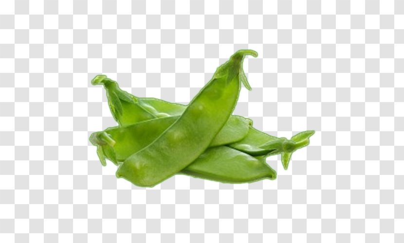 Snow Pea Snap Vegetable Edamame Green Bean Transparent PNG