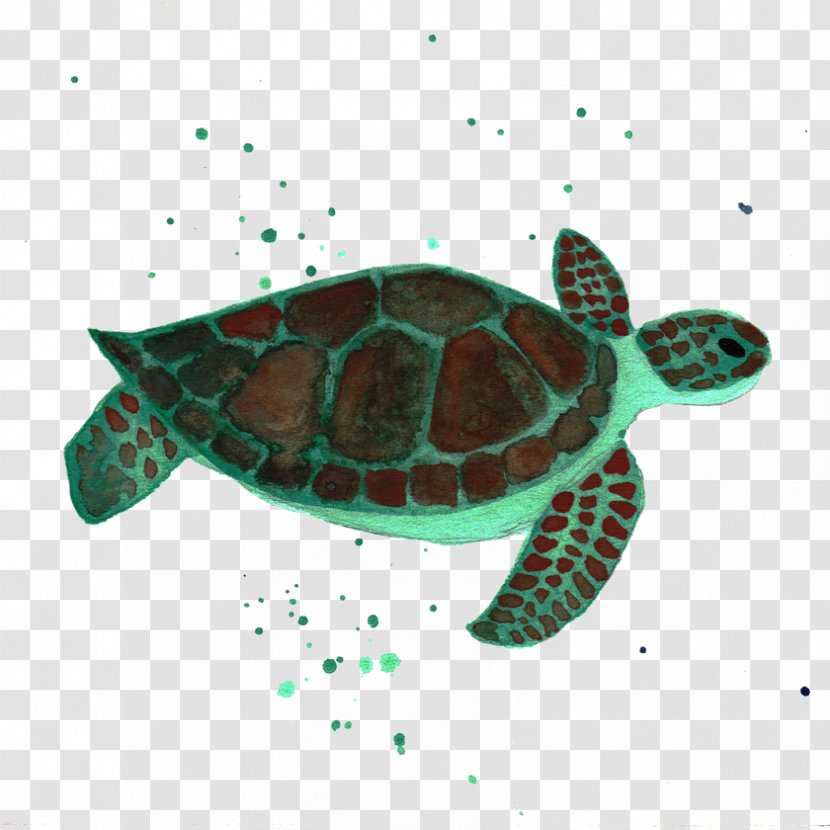 Loggerhead Sea Turtle Reptile Marine Biology - World Day Transparent PNG