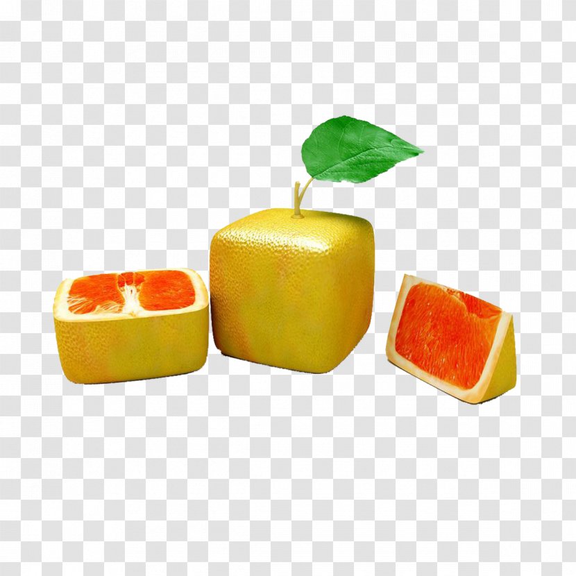 Orange Auglis Fruit Vegetable - Square Grapefruit Image Transparent PNG