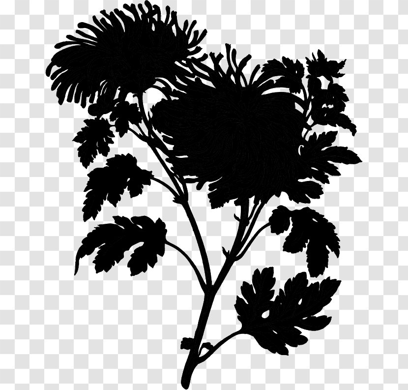 Chrysanthemum Black & White - Plant Stem - M Floral Design Leaf Transparent PNG