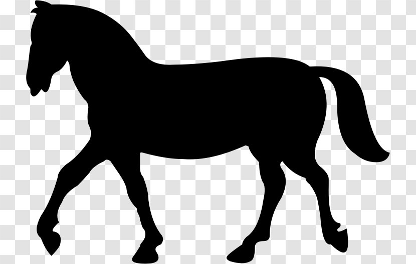 Mustang Colt Riding Pony Stallion - Wildlife Transparent PNG