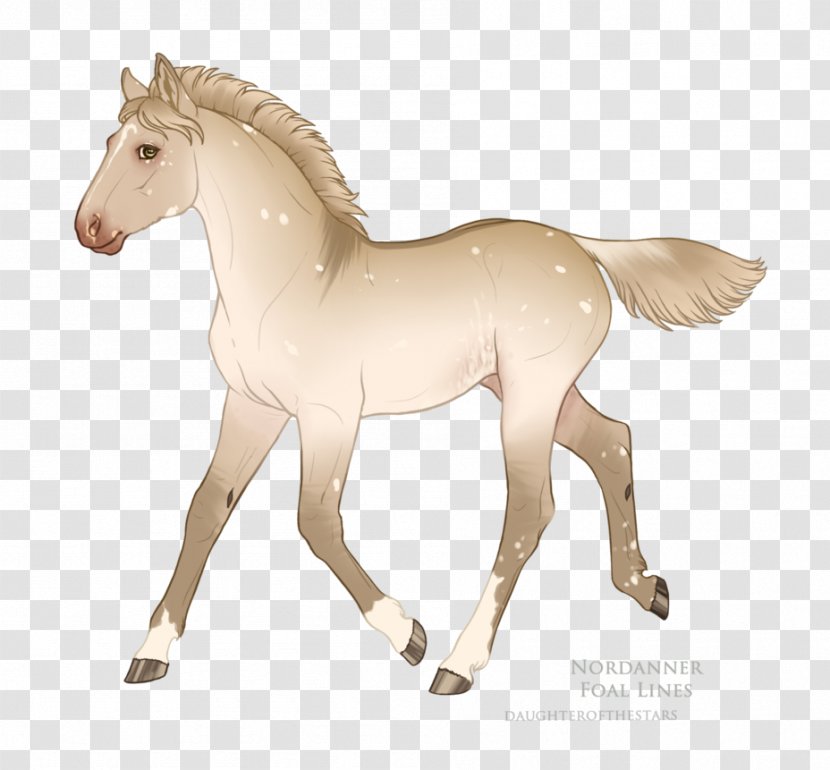 Foal Mustang Pony Stallion Mare - Horse Supplies Transparent PNG
