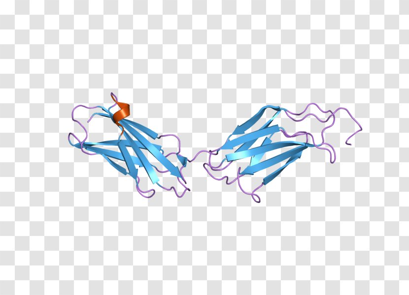 Fibronectin Integrin Glycoprotein Extracellular Matrix - Silhouette Transparent PNG