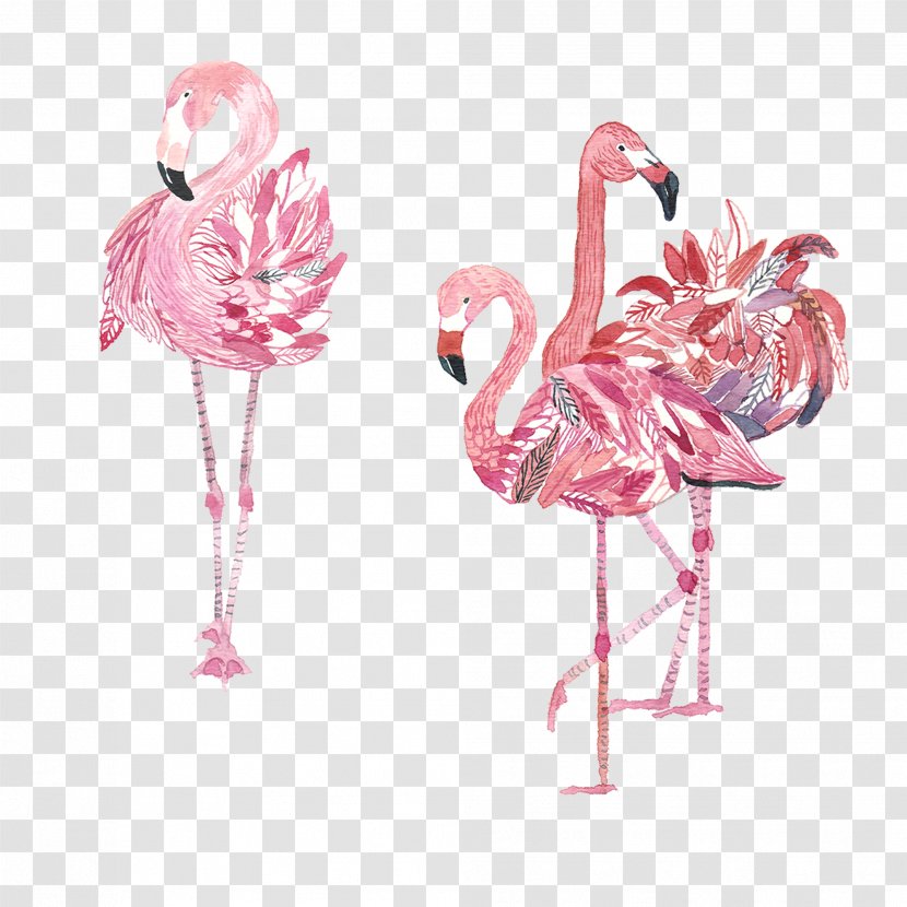 Bird Flamingos Amazon.com Crane - Paint - Hand-painted Three Pink Transparent PNG