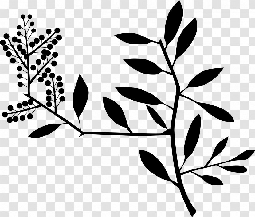 Fun With A Pencil Clip Art - Flower - Curry Leaves Cliparts Transparent PNG