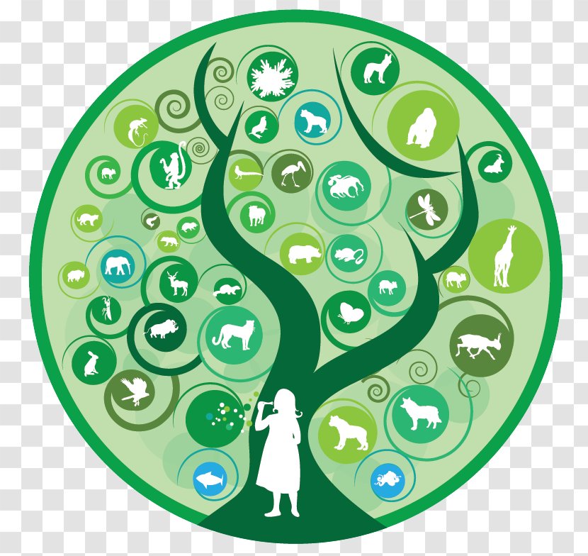 International Year Of Biodiversity Day For Biological Diversity Convention On Ecology - Research - Science Transparent PNG