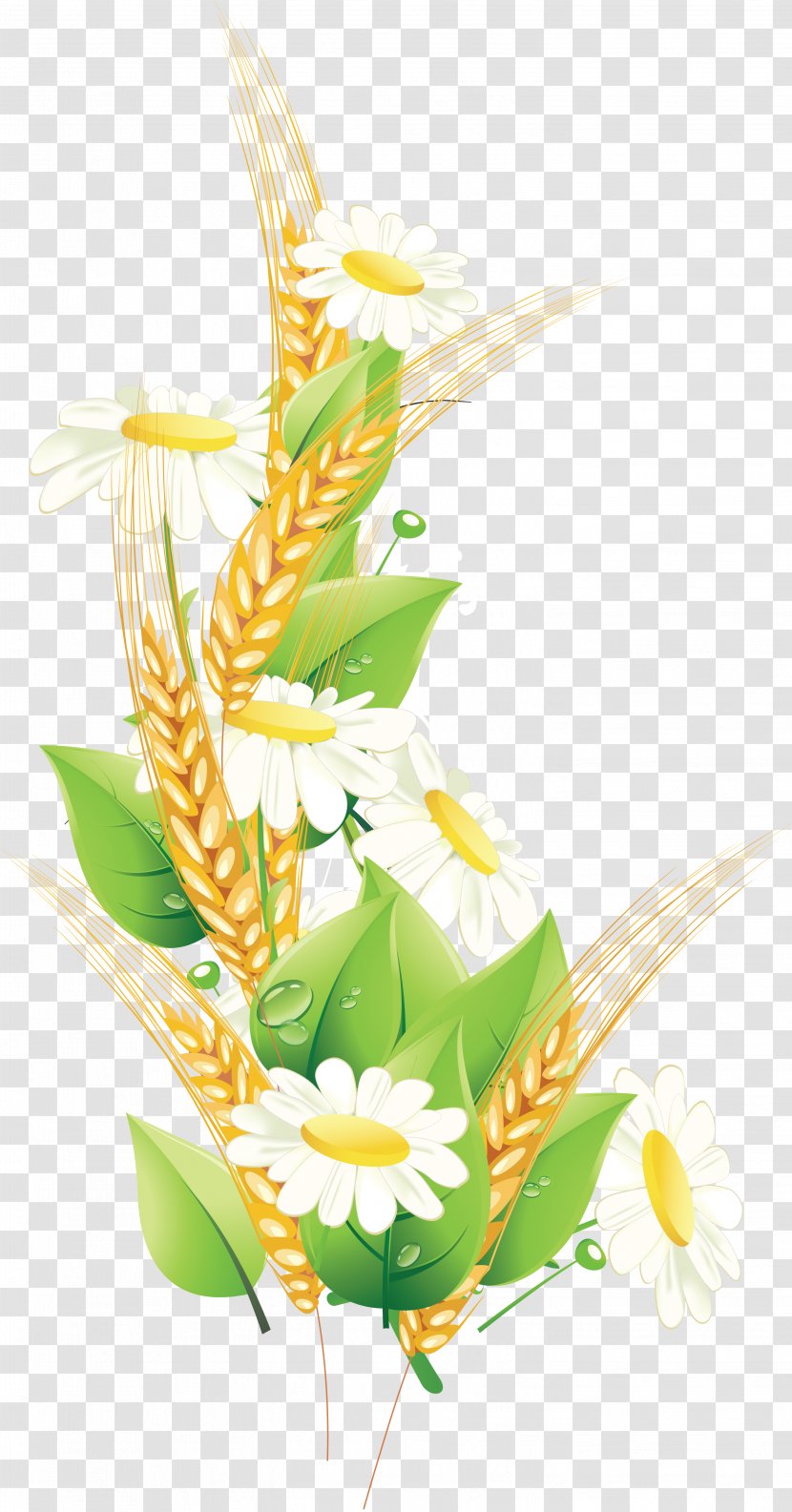 Wheat - Commodity - Petal Transparent PNG