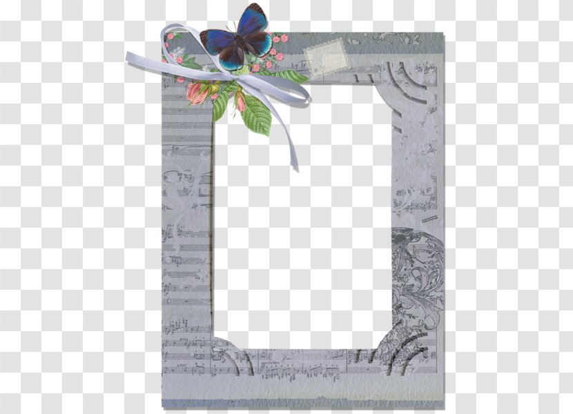 Picture Frames Film Frame Butterfly Transparent PNG