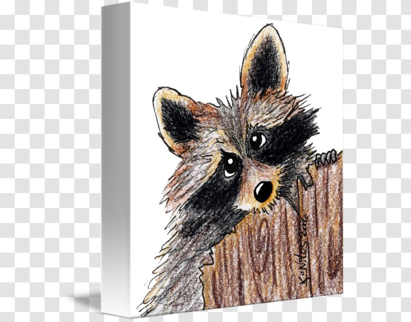 Red Fox Dog Raccoon Whiskers Snout - Wildlife Transparent PNG