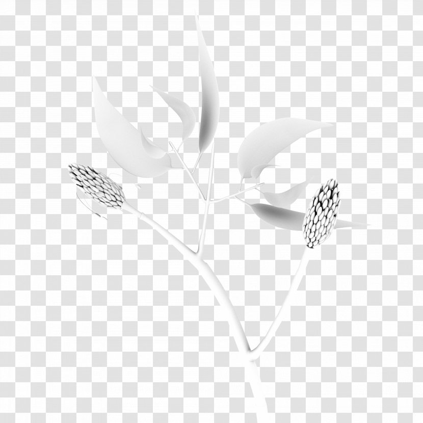Black And White Monochrome Photography Flower Jewellery - Plant - Magnolia Transparent PNG