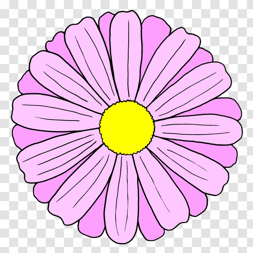 Floral Design - Flower - Camomile Wildflower Transparent PNG