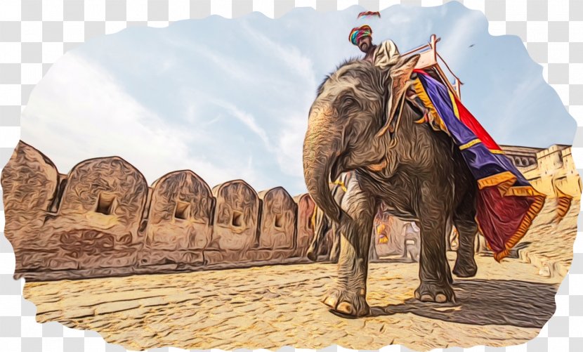 Jodhpur Rambagh Palace, Jaipur New Delhi Delhi, Agra And Tour Package - Elephants Mammoths - India Transparent PNG