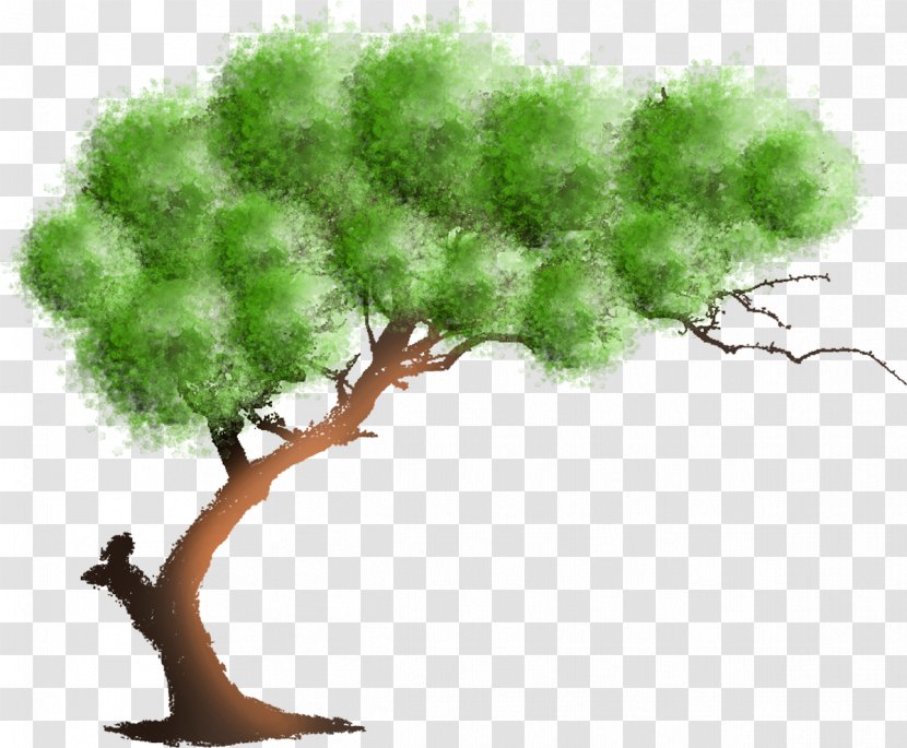 Wall Decal Painting Tree - Art - Design Transparent PNG