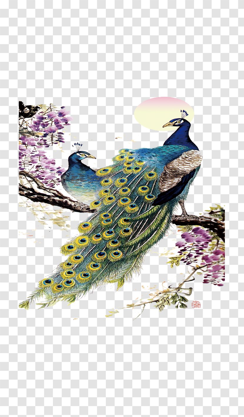 Peafowl Blue Download Illustration - Purple - Peacock Transparent PNG
