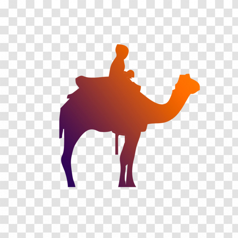 Camel Camelid Arabian Camel Silhouette Livestock Transparent PNG