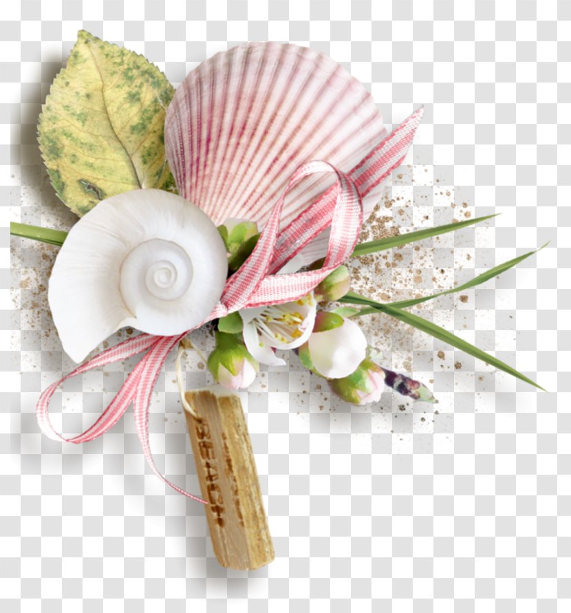 Mollusc Shell Color - Floral Design - Blog Transparent PNG