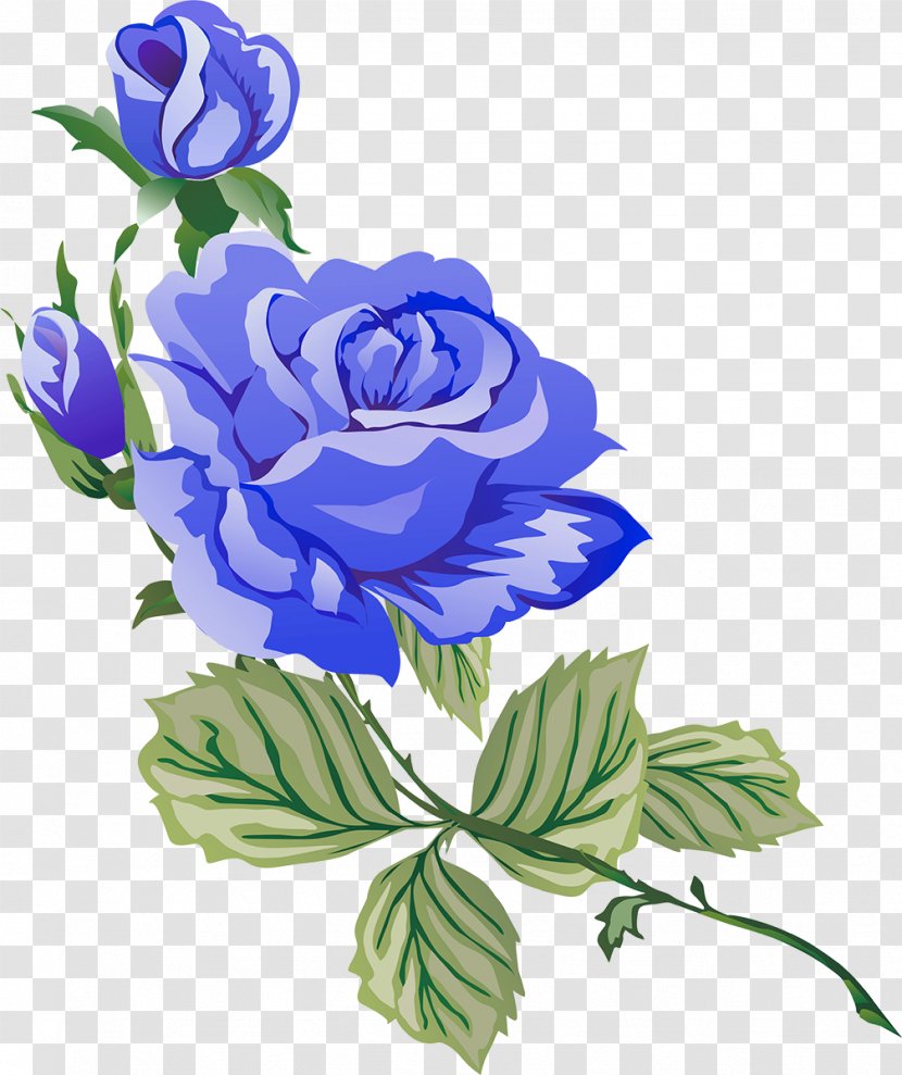 Garden Roses Flower - Plant Stem - Blue Transparent PNG
