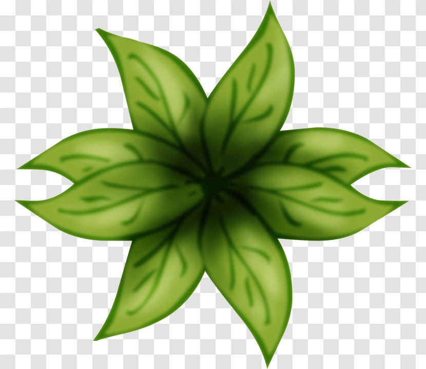 Leaf Green Plant Stem Flower Transparent PNG