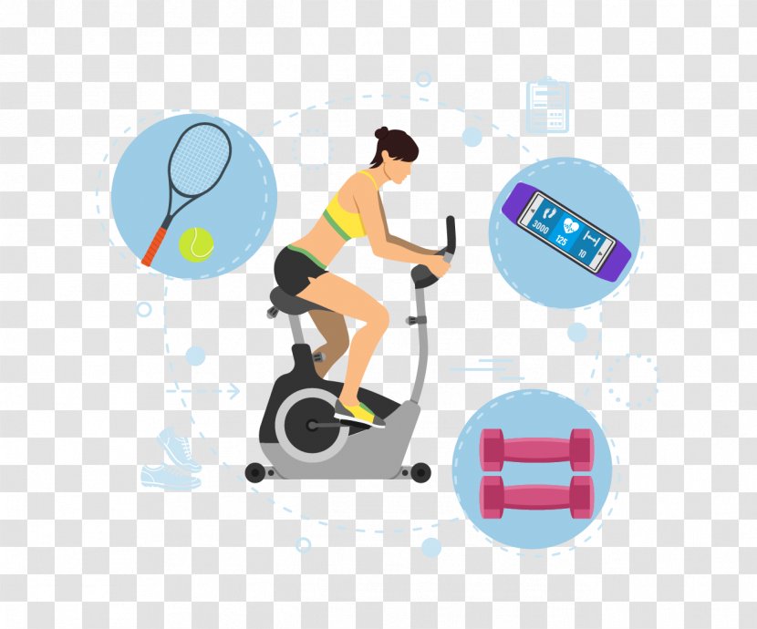 Physical Exercise Bodybuilding Fitness Centre - Vector Material Transparent PNG