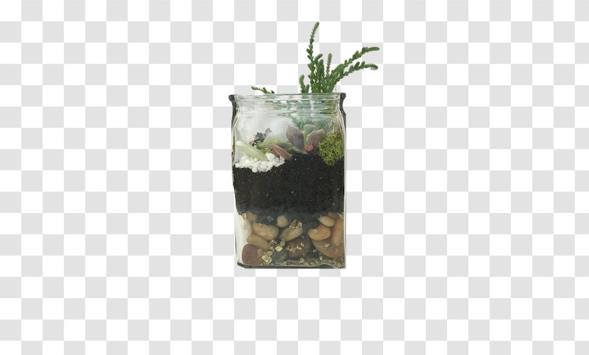 Flowerpot Vase Herb - Suculent Transparent PNG