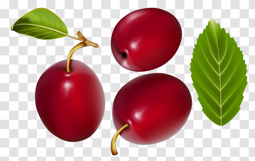 Gooseberry Cranberry Jujube Lingonberry - Red Dates Transparent PNG