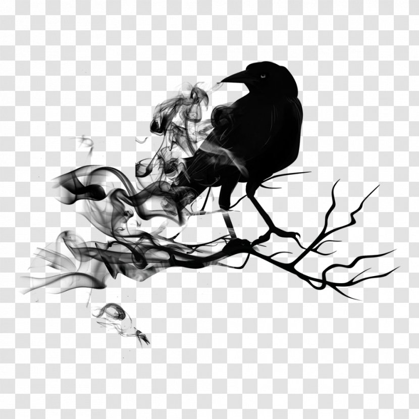 Songbird Rook Common Raven Crow - Drawing - Bird Transparent PNG