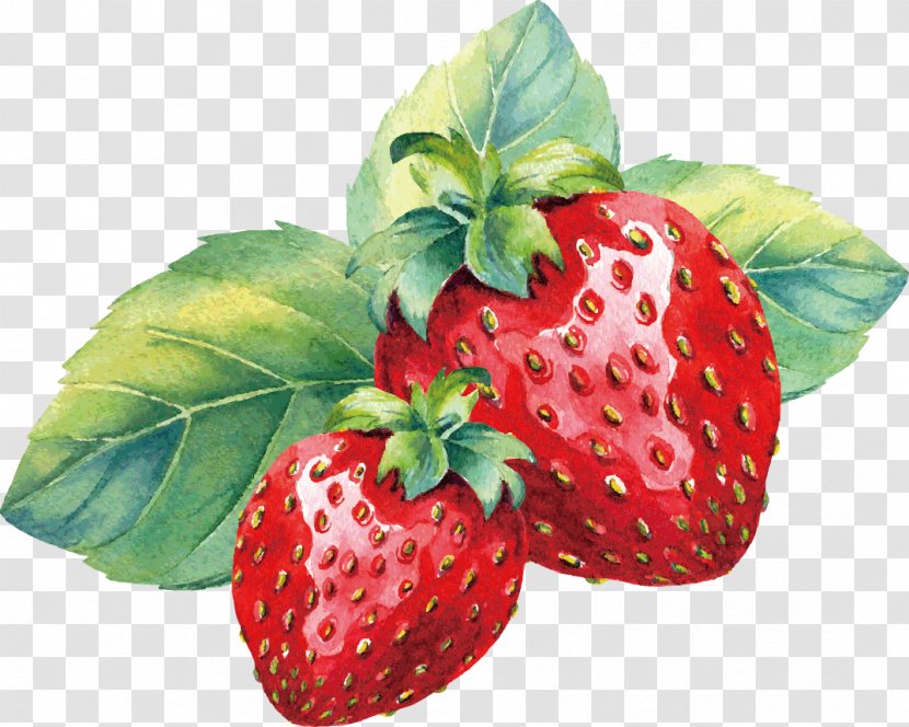 Strawberry Aedmaasikas Amorodo Watercolor Painting - Vector Painted Transparent PNG