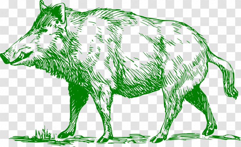 Wild Boar Common Warthog Peccary Hunting Clip Art - Green - Pig Transparent PNG