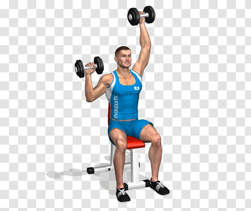 Weight Training Shoulder Dumbbell Deltoid Muscle Front Raise - Cartoon Transparent PNG