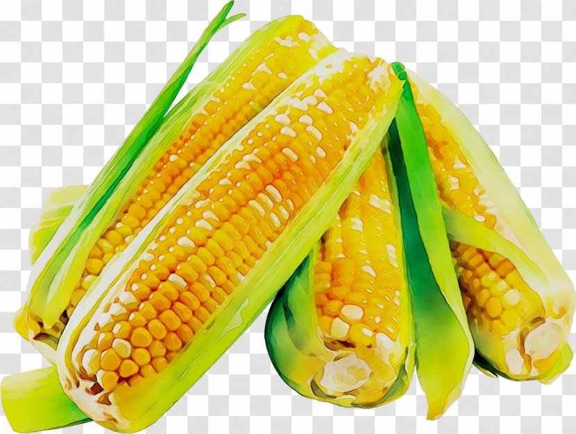 Corn On The Cob News Trade Economy - Price - Ingredient Transparent PNG